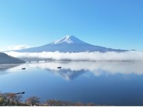 �y�b�g������R�e�[�W�䂩��̋��̎{�ݎʐ^3