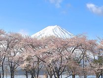 �y�b�g������R�e�[�W�䂩��̋��̎{�ݎʐ^3