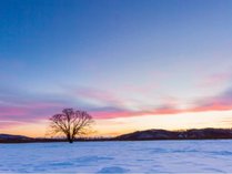 u}bNX][gmV[tg̊Oώʐ^