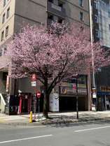 ｈｏｔｅｌリーネルすすきの 宿泊予約は じゃらんnet