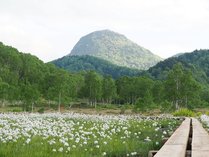 �u��n�C�����h�z�e���̎{�ݎʐ^3