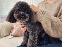 �Q�X�g�n�E�X�@�}���h�[���̎{�ݎʐ^3