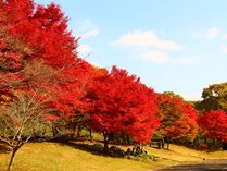 休暇村帝釈峽の施設写真2