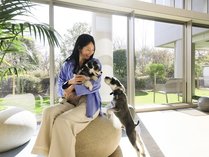 MC with DOGS̊Oώʐ^