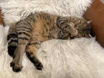 �Ƃ�ܗ��ق̎{�ݎʐ^3