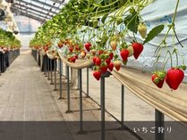 �������ҁ@���V�̐��Ɖ_�C�̏h�@�������̑��w���e�C�W���̎R�̎{�ݎʐ^3