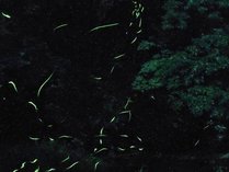 �������ҁ@���V�̐��Ɖ_�C�̏h�@�������̑��w���e�C�W���̎R�̎{�ݎʐ^3