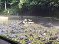 ���h�@�a�y�Ƃ̎{�ݎʐ^2