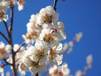 �R�e�[�W�R���̎{�ݎʐ^2