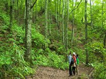 �A�N�A�O���[���r���b�W�`�m�l�n�m�̎{�ݎʐ^2