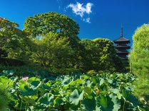 OMO3京都東寺 by 星野リゾートの施設写真3