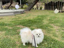 �����������@�������������@�b�`�l�o���f�q�h�k�k�̎{�ݎʐ^3