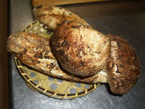 MB |ق̎{ݎʐ^2