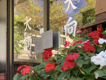 ������ق̊O�ώʐ^