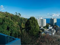 �X�C�[�g���B���@�L�����[�V�����@�M�C�@���R�뉑�̊O�ώʐ^