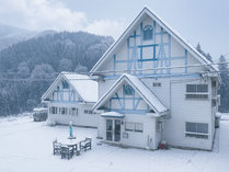 �y���V��������̊O�ώʐ^