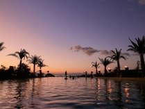 BOTANICAL POOL CLUB̎{ݎʐ^1