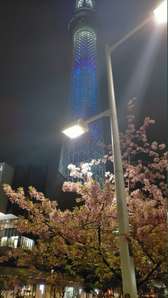 東京スカイツリー周辺宿からの現地情報 じゃらんnet