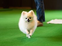 �ɍ��ۉ���@�c���������X�C�[�g�y���̎{�ݎʐ^3