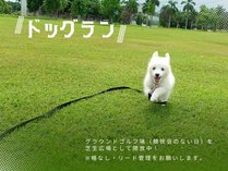 lG̓@zeweCW@ső勉̍IV̎{ݎʐ^2