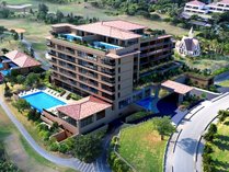 �A���}���_ �X�v�����f�B�h�̊O�ώʐ^