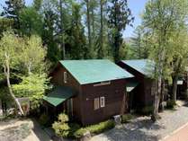 ���]�[�g�C���Еi�̊O�ώʐ^