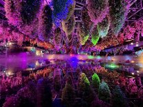 ���c�ق̎{�ݎʐ^3