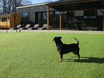 Private Villa HACHI �����x�̎{�ݎʐ^2