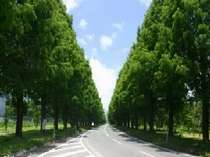 �z�e���@�u���[���[�N��Â̎{�ݎʐ^3