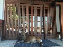 邳r@悵̊Oώʐ^