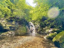 ������L�����v�t�B�[���h�̊O�ώʐ^