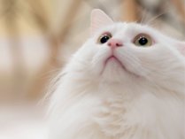 QXgnEXORIORI̎{ݎʐ^3