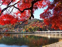 京都　嵐山温泉　花伝抄（共立リゾート）の施設写真3