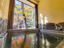 ChlC`[nEXYAMẢƂ̎{ݎʐ^2