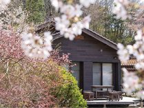 ���̑z�̊O�ώʐ^