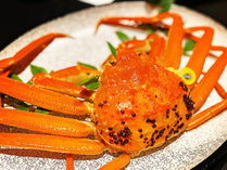 Cӂ̃[P[V][g@aق̎{ݎʐ^3