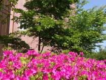 ������܃t�@�[�}�[�Y�E�}�[�P�b�g�m�[�X���B���b�W�̎{�ݎʐ^2