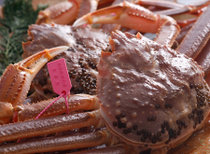 Z@Ɋy@bYi炬j̎{ݎʐ^2