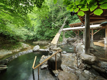 ���E�������@��Â����r����������̖V�̎ʐ^