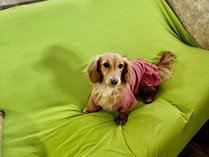 LsOg[[bW@al̎{ݎʐ^3