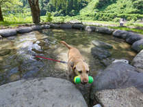 �Ö��ƃ��O�R�e�[�W�@�a�ݎɂ����炬�̎{�ݎʐ^3