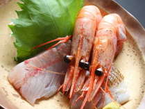 ���h�@�����̎{�ݎʐ^2