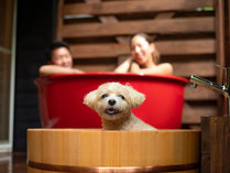 ホテルフォレストヒルズ那須　～愛犬と旅する大自然のリゾート～の施設写真2
