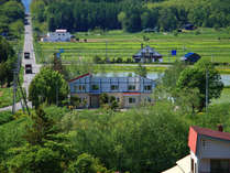 �M�������[�y���V���������̊O�ώʐ^