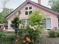 �R�e�[�W�E�b�h�m�[�g �����[�̊O�ώʐ^