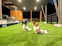 Forest Villa Chester̊Oώʐ^