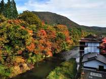 日本百名湯 日本一深い天然自噴岩風呂を有す秘湯宿 藤三旅館の外観写真