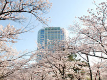 �U�E�v�����X �p�[�N�^���[�����̎{�ݎʐ^3