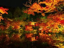 ���� Apartment Hotel Kyoto�̎{�ݎʐ^2
