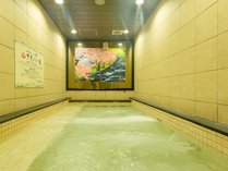 ���؃J�v�Z���z�e���@���S���h�@�H�t���X�̎{�ݎʐ^3